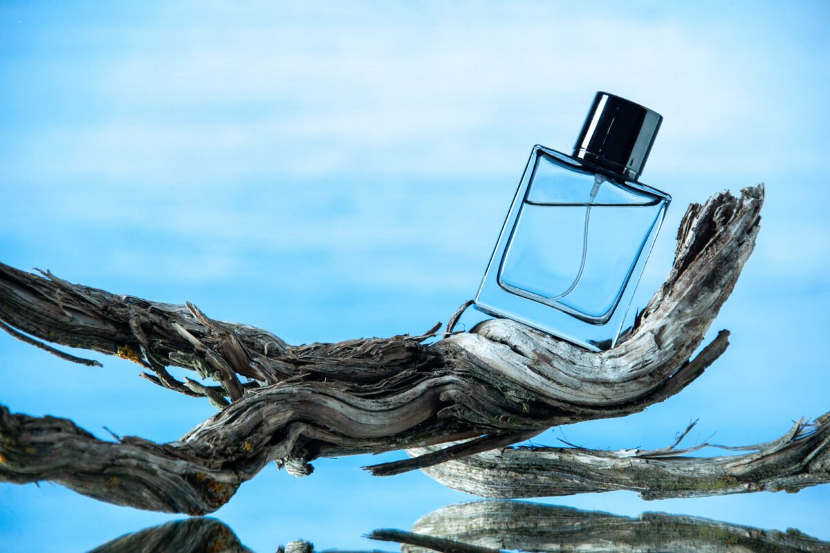 Front view cologne bottle rotten tree branch isolated light blue background
